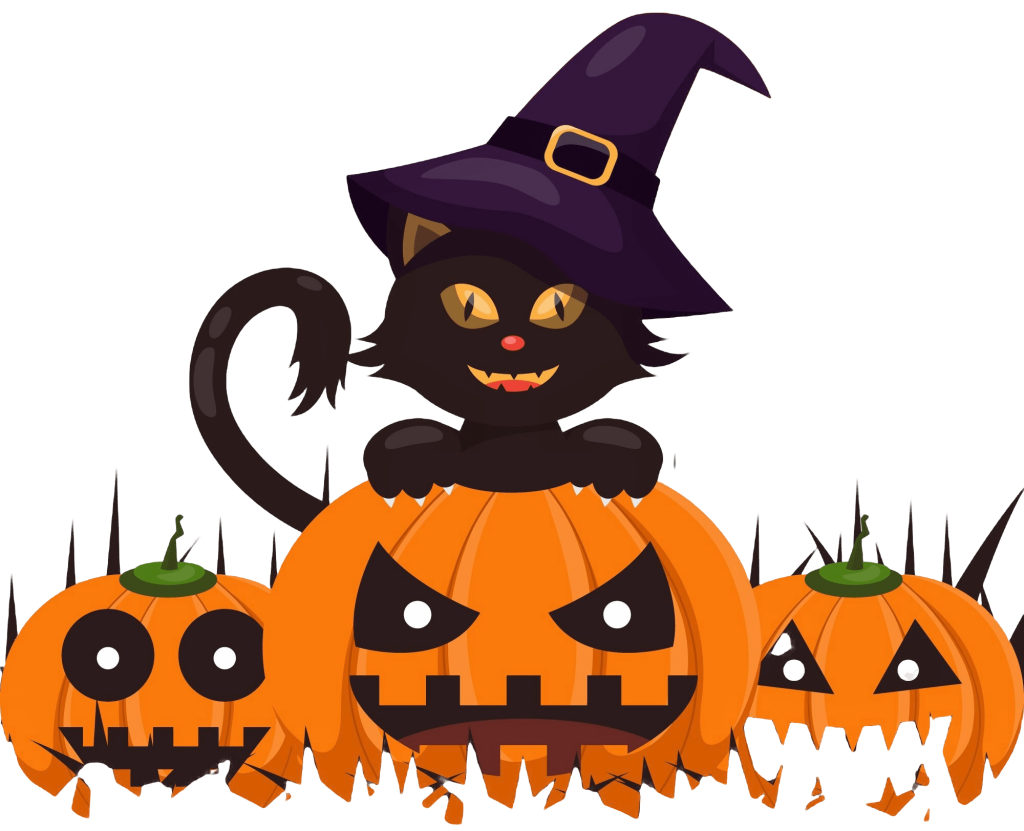 cat-illustration